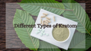 Different Types of Kratom - Oasis Kratom