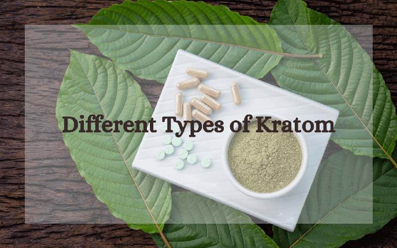 Different Types of Kratom