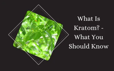 What Is Kratom? - What You Should Know 7 What Is Kratom - What You Should Know