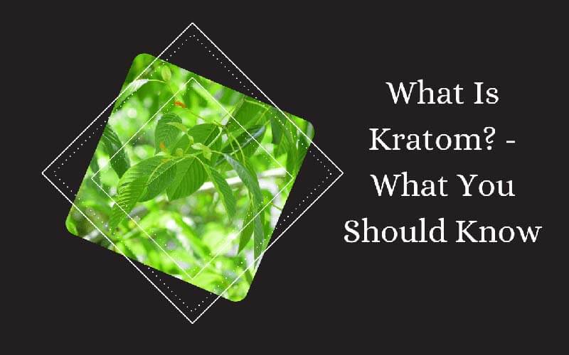 What Is Kratom? - What you should know
