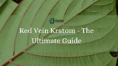 Red Vein Kratom - The Ultimate Guide 8 Red Vein Kratom