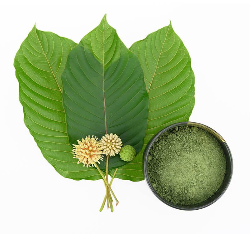 Oasis Kratom