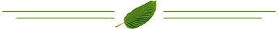 Kratom separator