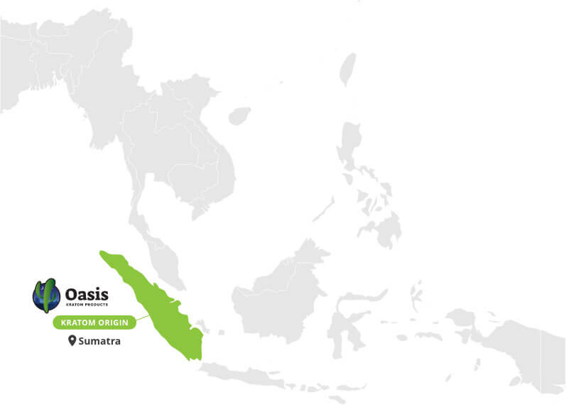 Origin of Green Sumatra Kratom Powder - By Oasis Kratom