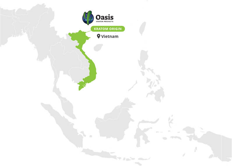 Origin of Yellow Vietnam Kratom - By Oasis Kratom