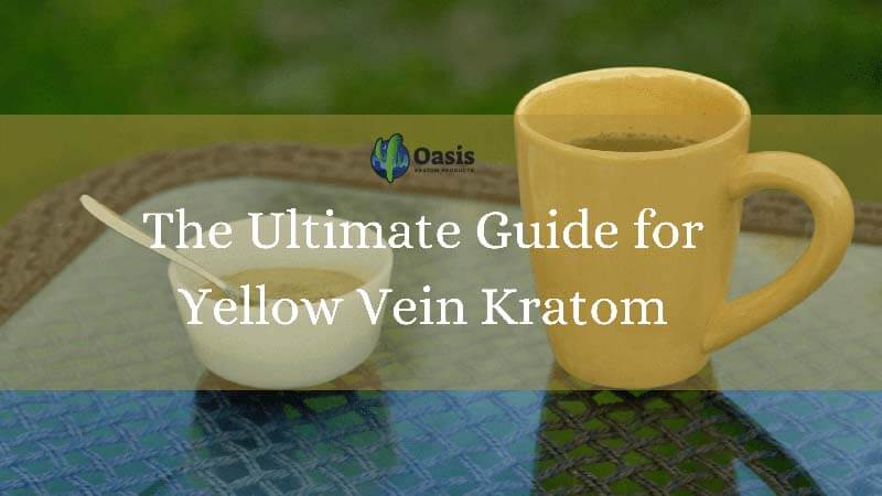 The Ultimate Guide for Yellow Vein Kratom - by Oasis Kratom