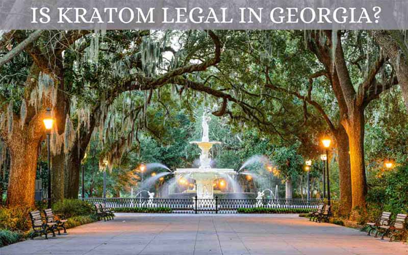 Is Kratom Legal in Georgia - by Oasis Kratom