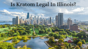 Is Kratom Legal in Illinois - Oasis Kratom