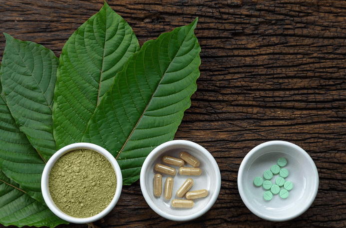 kava vs kratom kava vs kratom