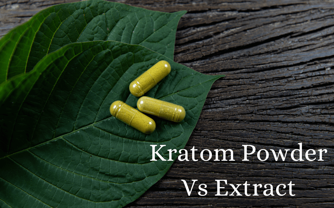 Kratom Powder Vs Extract: The Differences - Oasis Kratom