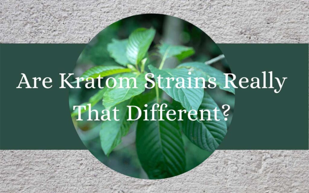 are kratom strains really that different - oasis kratom