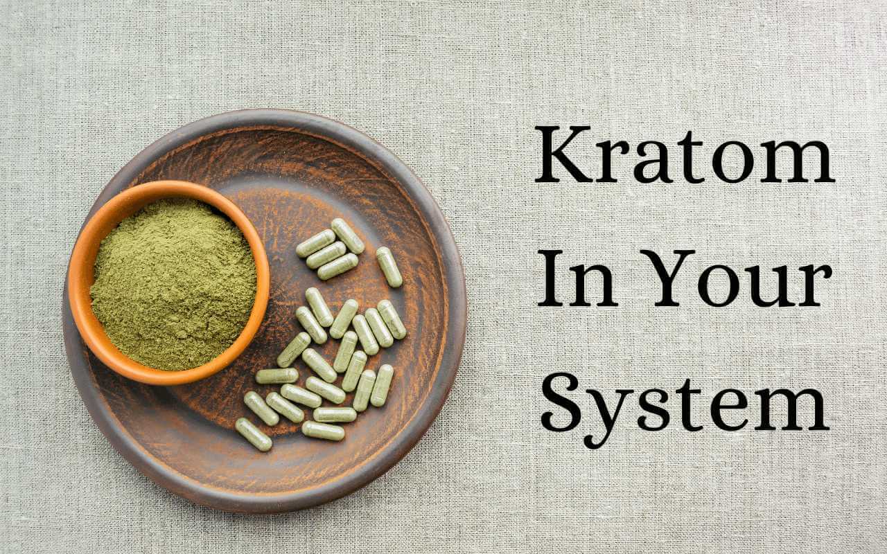 How Long Is Kratom In Your System How Long Does Kratom Last In Your System?