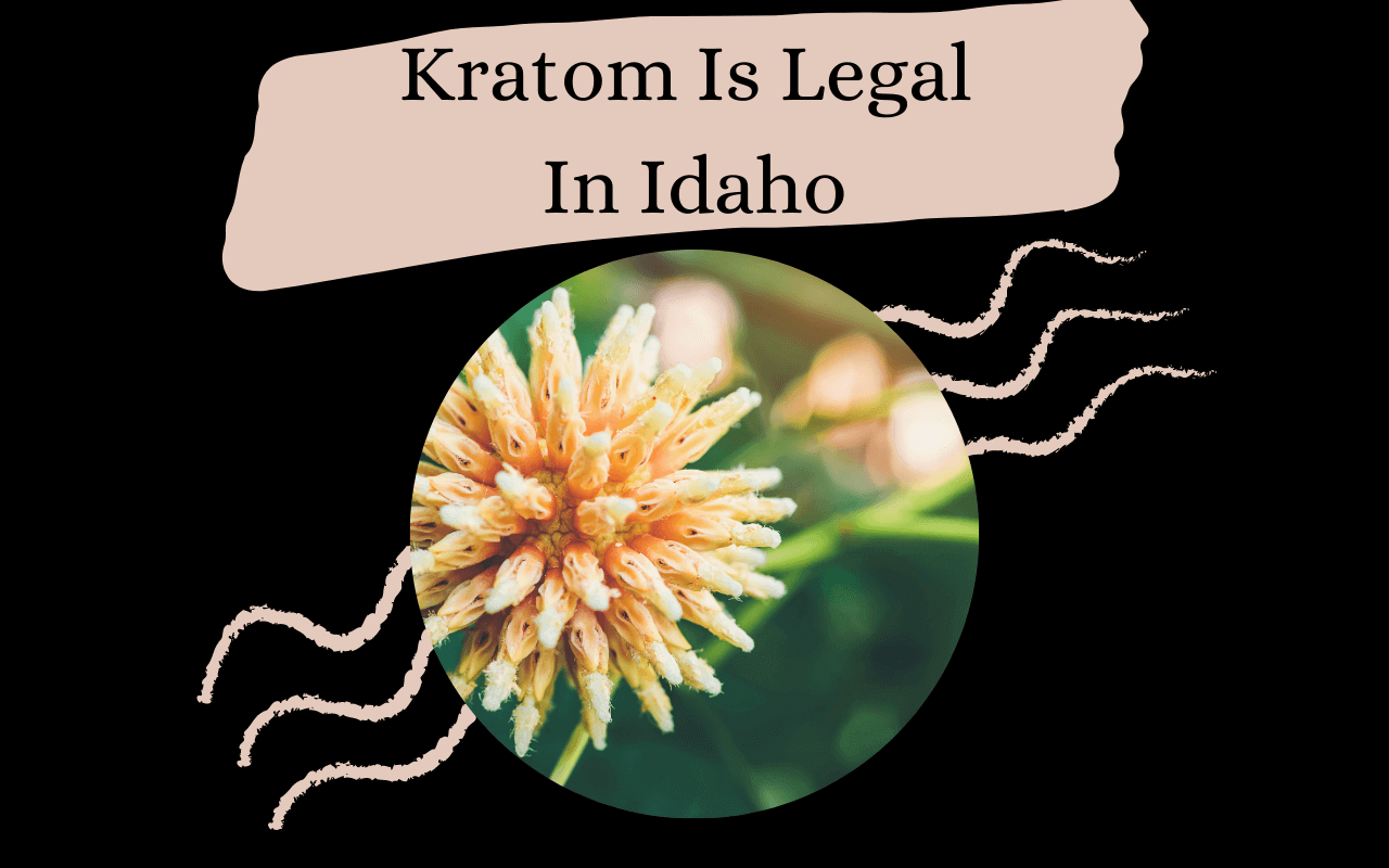 Yes Kratom Is Legal In Idaho