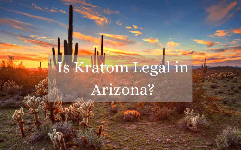 Is Kratom Legal in Arizona - by Oasis Kratom