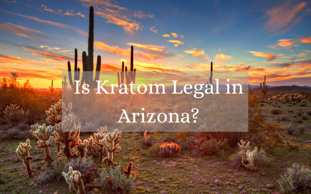 Is Kratom Legal in Arizona_ Is Kratom Legal in Arizona