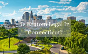 is kratom legal in connecticut_oasis kratom