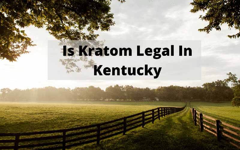 Is Kratom Legal In Kentucky -by Oasis Kratom