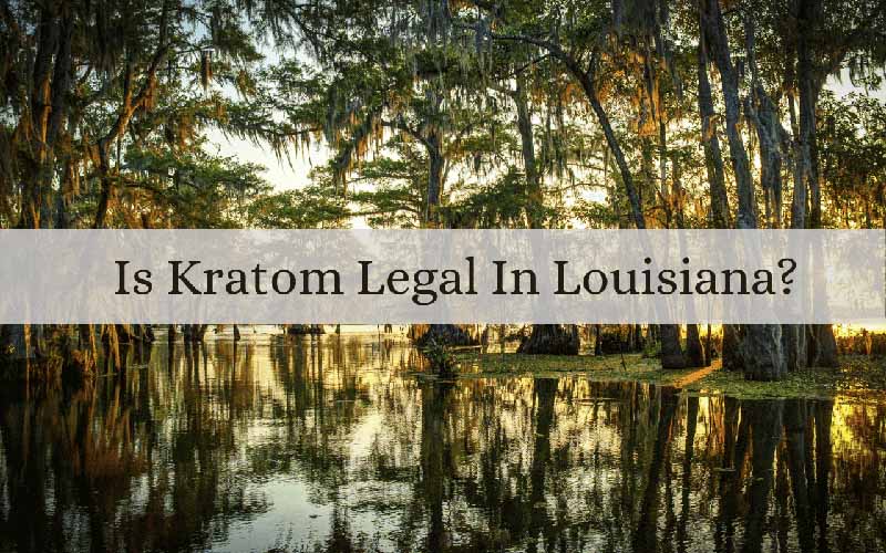 Is Kratom Legal In Louisiana - by Oasis Kratom