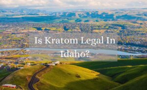 is kratom legal in idaho_oasis kratom