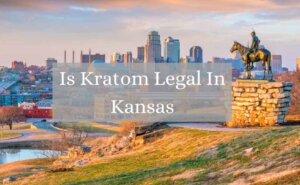 is kratom legal in kansas_oasis kratom