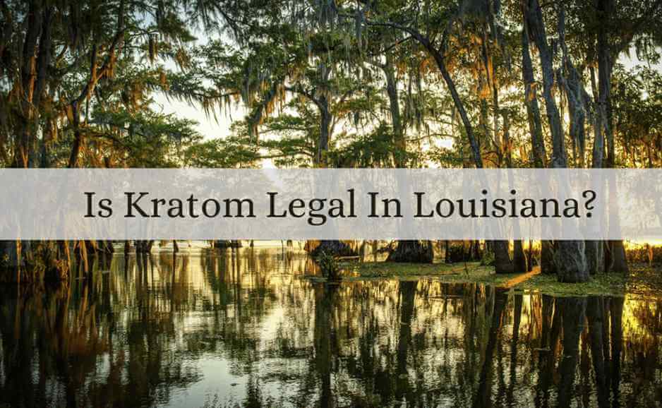 is kratom legal in louisiana-featured image-oasis kratom