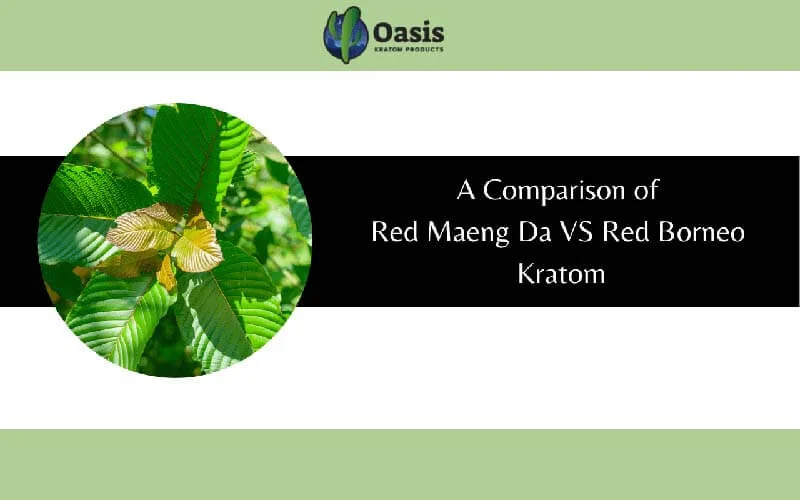 A Comparison of Red Maeng Da VS Red Borneo Kratom