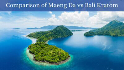 Comparison of Maeng Da vs Bali Kratom - Oasis Kratom