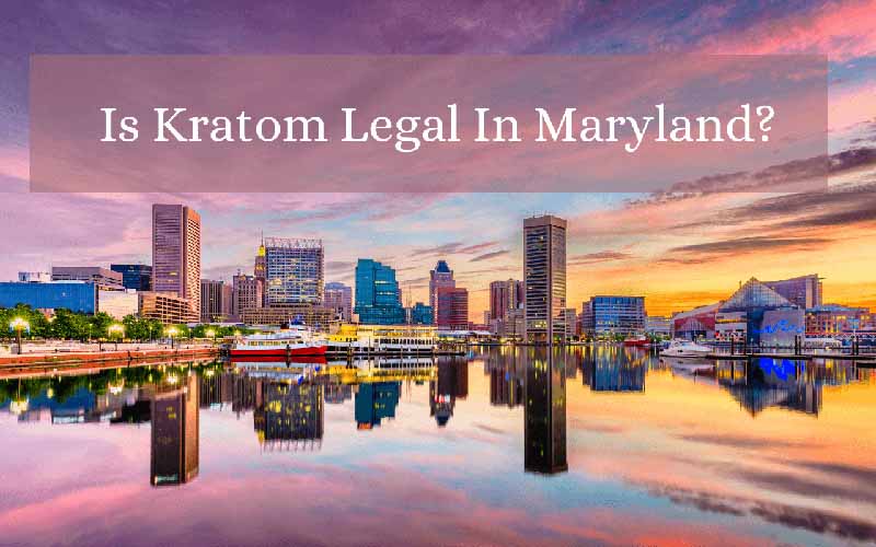 Is Kratom Legal In Maryland - by Oasis Kratom