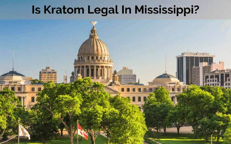 Is Kratom Legal In Mississippi - by Oasis Kratom