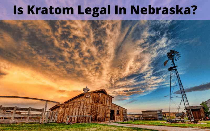 Is Kratom Legal In Nebraska - by Oasis Kratom