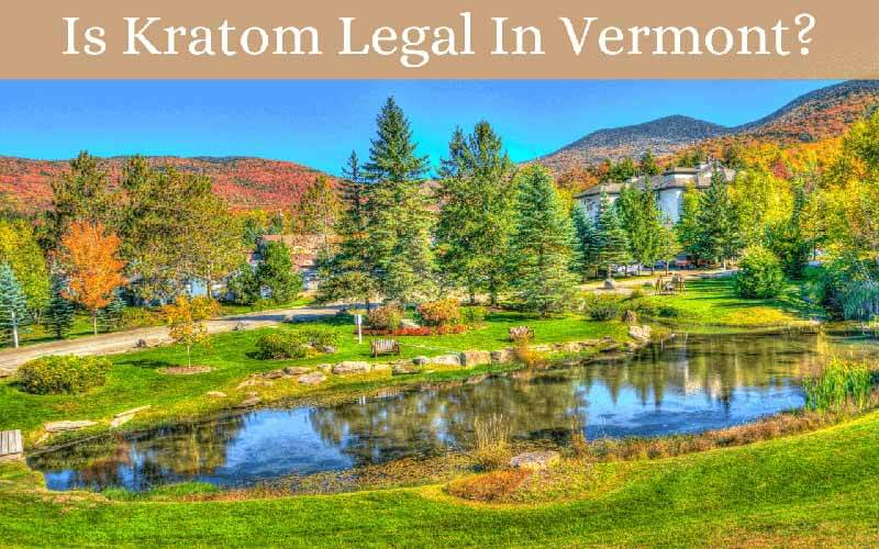 Is Kratom Legal In Vermont - by Oasis Kratom