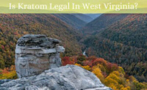 Is Kratom Legal In West Virginia - Oasis Kratom