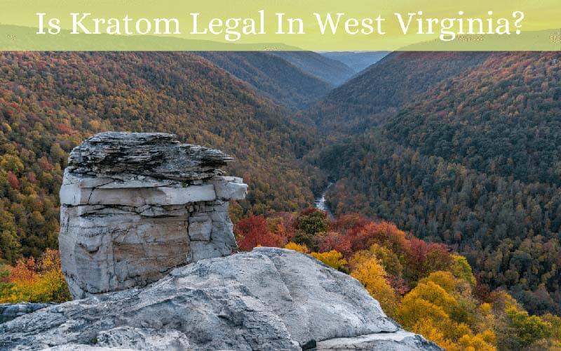 Is Kratom Legal In West Virginia - by Oasis Kratom