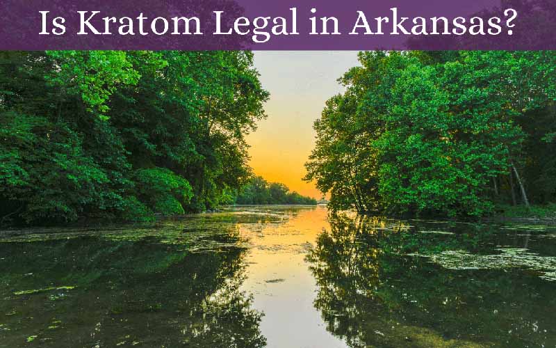 Is Kratom Legal in Arkansas - by Oasis Kratom