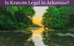 is kratom legal in arkansas-featured image-oasis kratom