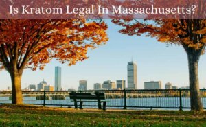 is kratom legal in massachusetts-featured image-oasis kratom