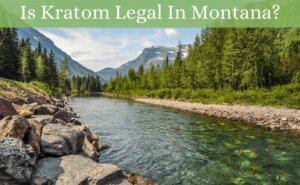 is kratom legal in montana-featured image-oasis kratom