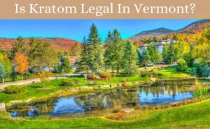 is kratom legal in vermont-featured image-oasis kratom