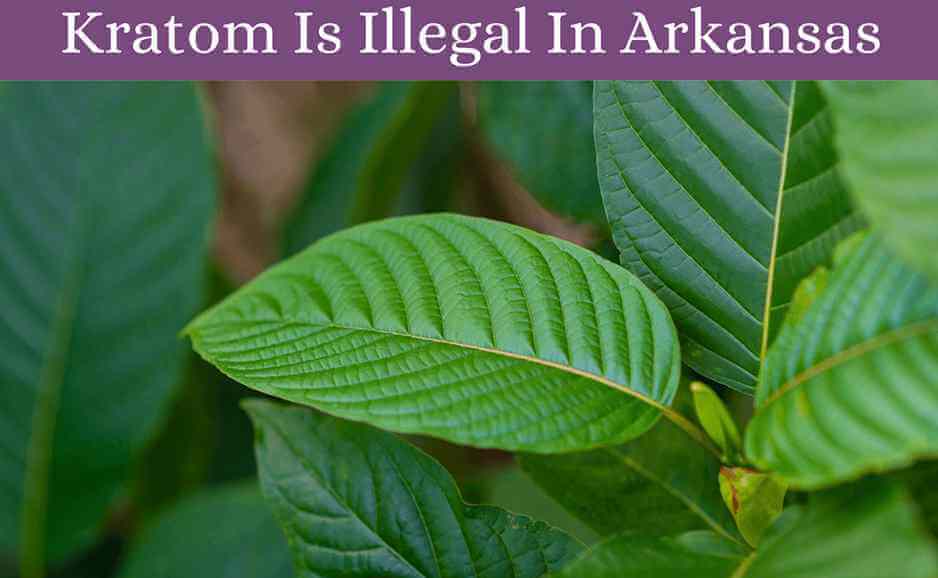 kratom is illegal in arkansas-oasis kratom