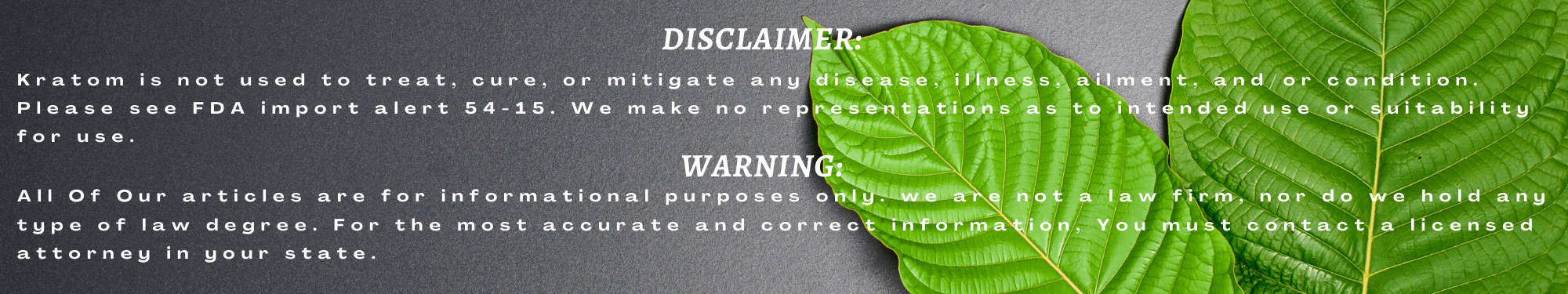 Disclaimer and Warning