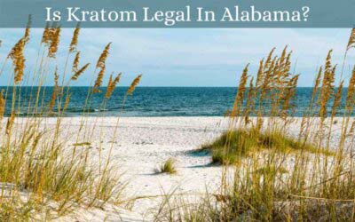 Is Kratom Legal In Alabama - Oasis Kratom