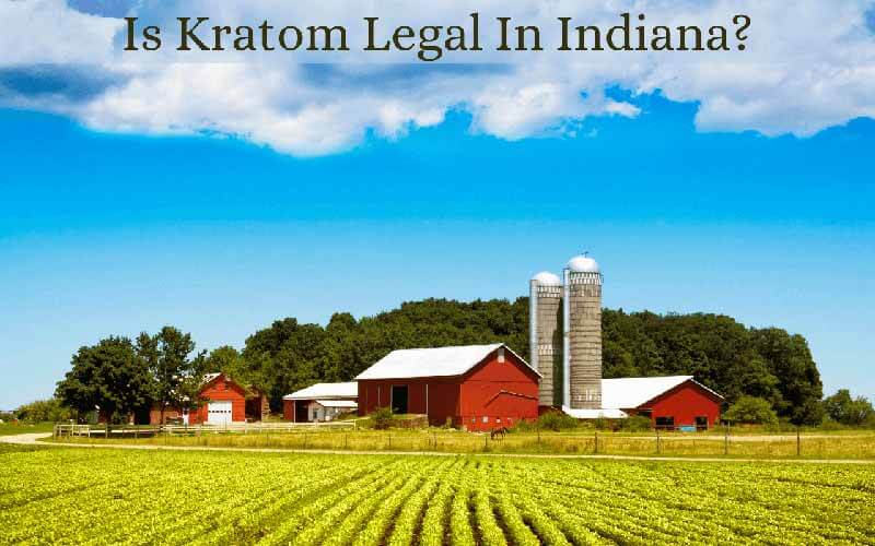 Is Kratom Legal In Indiana - by Oasis Kratom