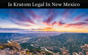 Is Kratom Legal In New Mexico - Oasis Kratom