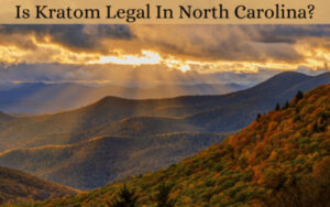 Is Kratom Legal In North Carolina - Oasis Kratom