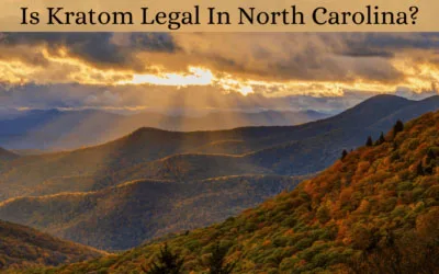 Is Kratom Legal in North Carolina? Laws, Age Limits, and Buying Guide 1 Is Kratom Legal In North Carolina - Oasis Kratom