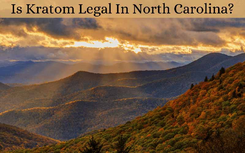 Is Kratom Legal In North Carolina - by Oasis Kratom