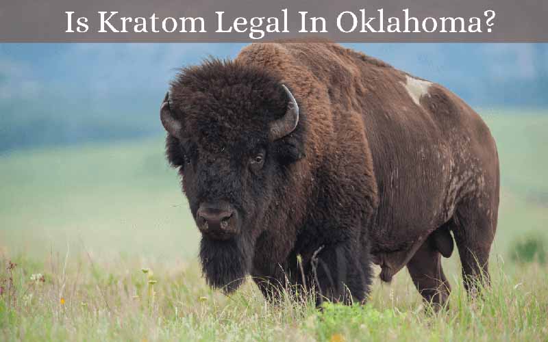 Is Kratom Legal In Oklahoma - by Oasis Kratom