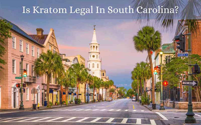 Is Kratom Legal In South Carolina - by Oasis Kratom