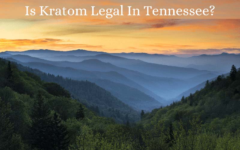 Is Kratom Legal In Tennessee - by Oasis Kratom