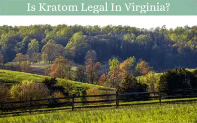 Is Kratom Legal in Virginia? Key Legal Insights 11 Is Kratom Legal In Virginia - Oasis Kratom
